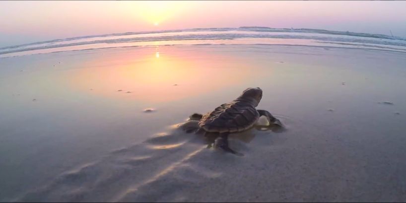 首页-人生就是博(中国区)官方网站