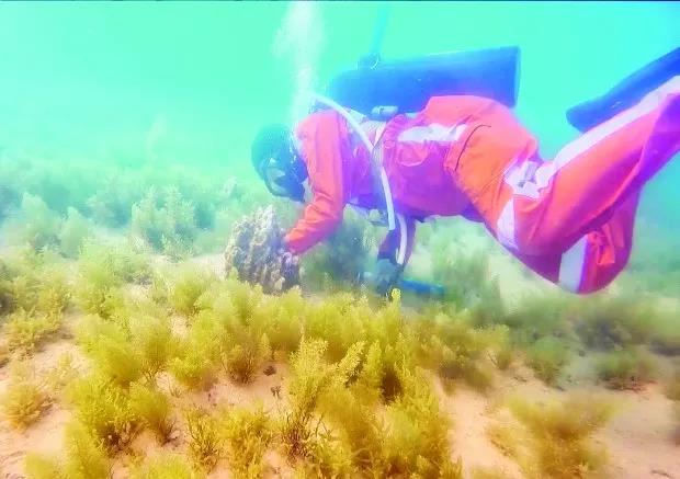 首页-人生就是博(中国区)官方网站