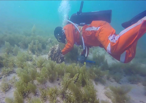 首页-人生就是博(中国区)官方网站