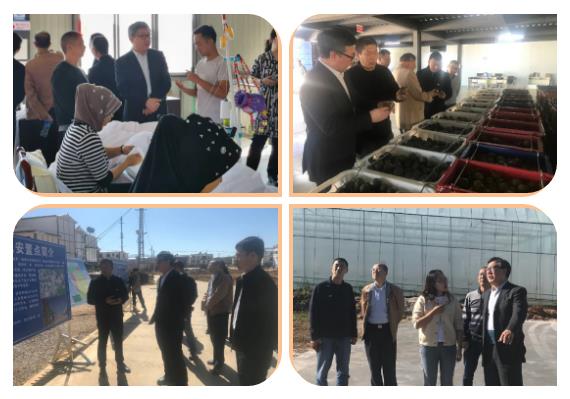 首页-人生就是博(中国区)官方网站