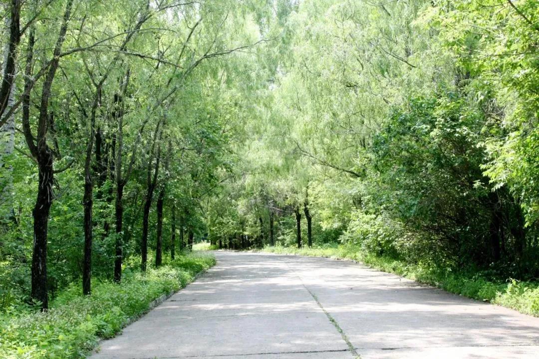 首页-人生就是博(中国区)官方网站