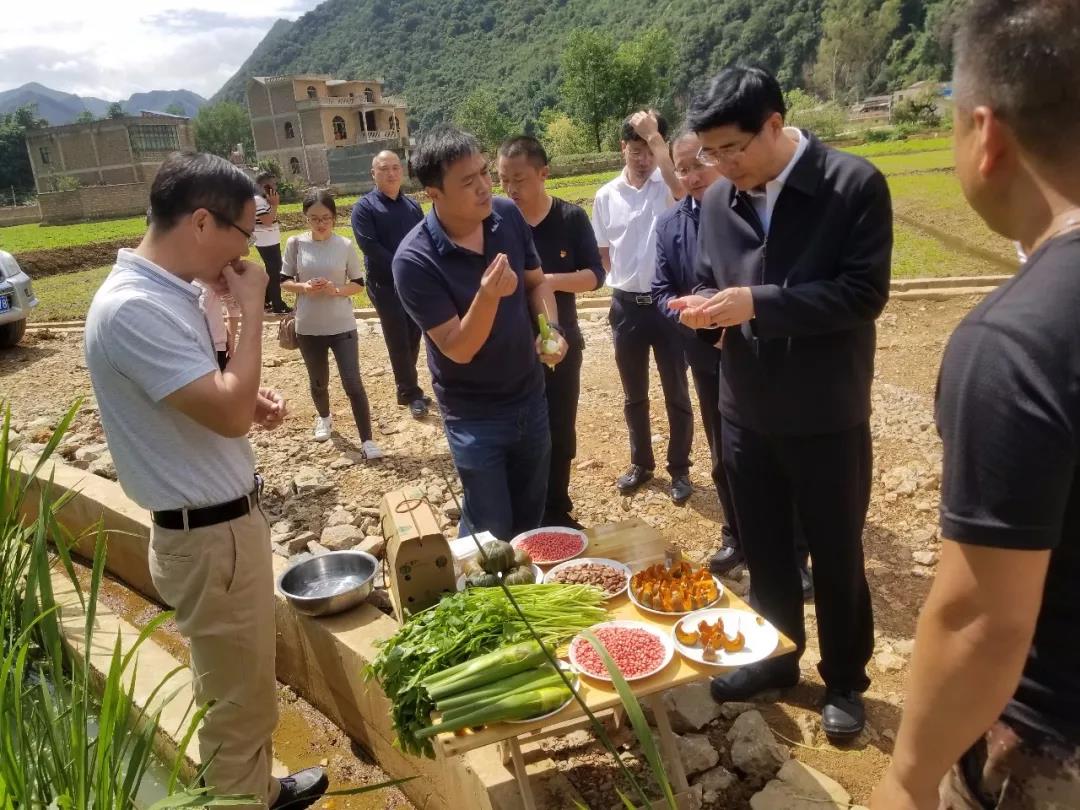首页-人生就是博(中国区)官方网站