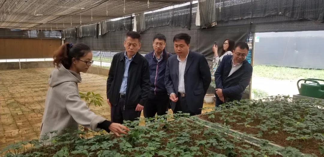 首页-人生就是博(中国区)官方网站