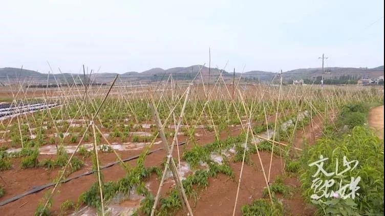 首页-人生就是博(中国区)官方网站