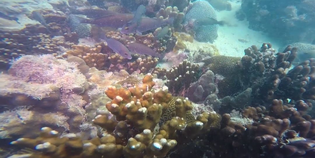 首页-人生就是博(中国区)官方网站