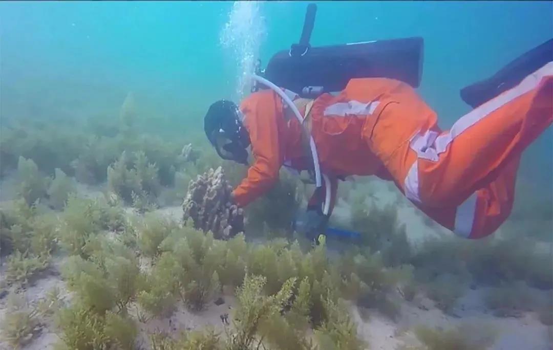 首页-人生就是博(中国区)官方网站